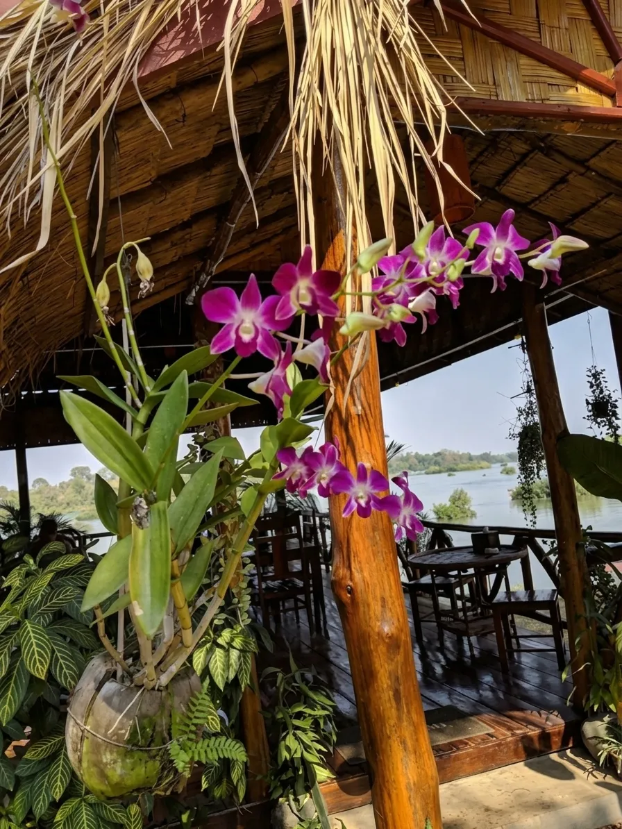Restaurant-Terrasse von Mama Leuah am Mekong